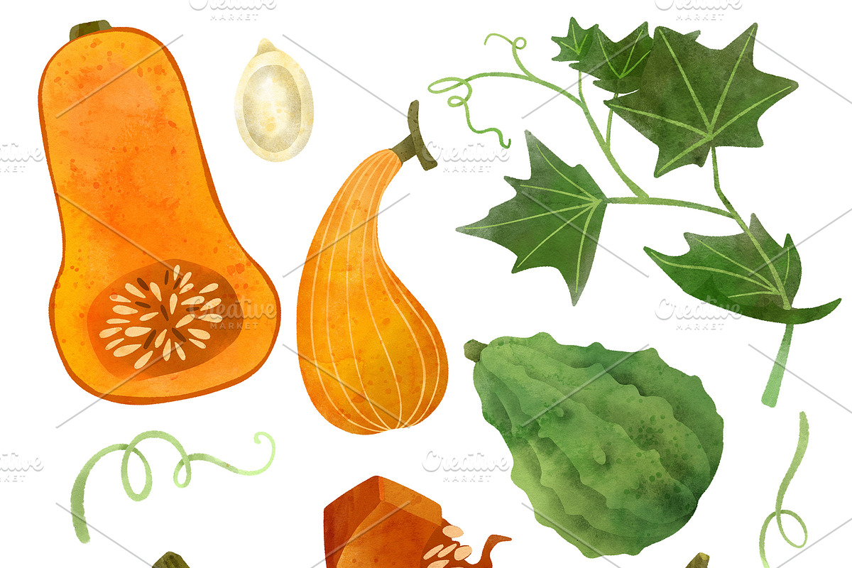 Vegetables, Herbs Watercolor Clipart, an Object Graphic by JSolomatina (Photo 11 of 15)