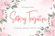 Settary Tenjutsu - Handwritten Font, a Script Font by StringLabs (Thumbnail 1 of 9)