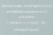 Camellia Serif Font, a Serif Font by Mayofont (Thumbnail 5 of 5)
