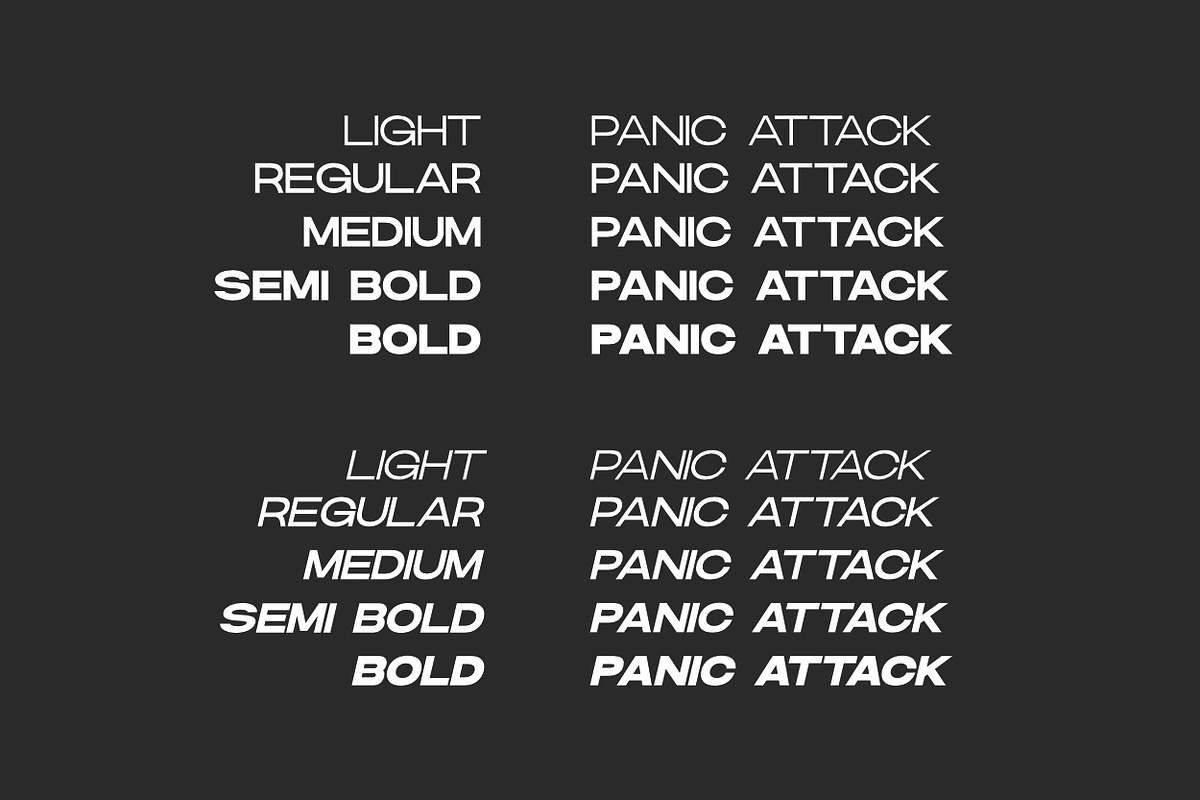 Danson Modern Logo Font Family, a Sans Serif Font by Andika Fez (Photo 10 of 10)