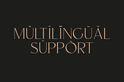 CARNIVAL Elegant Serif Font, a Serif Font by Anna Zakharchenko (Thumbnail 13 of 14)