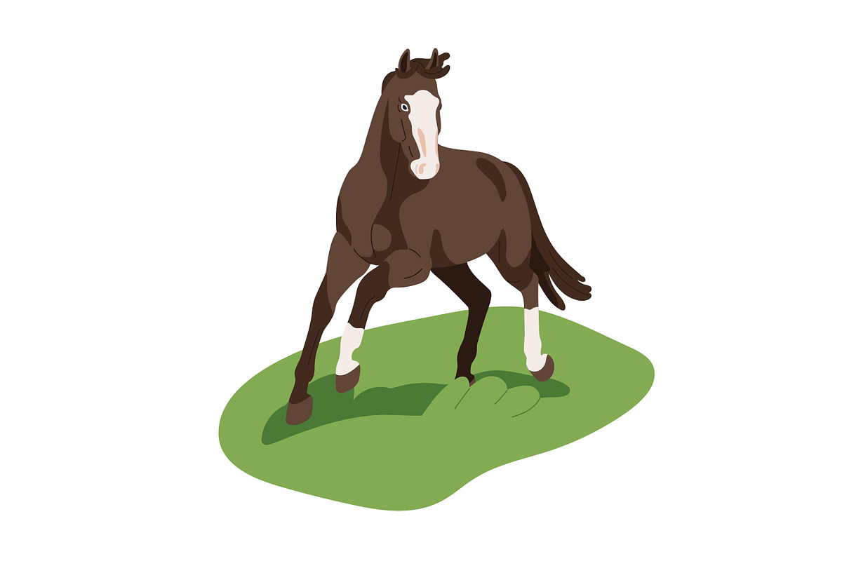Horses, equine animals running set, an Animal Illustration by Good Studio (Photo 3 of 13)