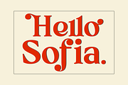 Madeline Forhes - Display Serif, a Serif Font by LuhopCreative (Thumbnail 16 of 16)