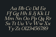 Clarton - Elegant Serif Font, a Serif Font by Marvadesign (Thumbnail 5 of 9)