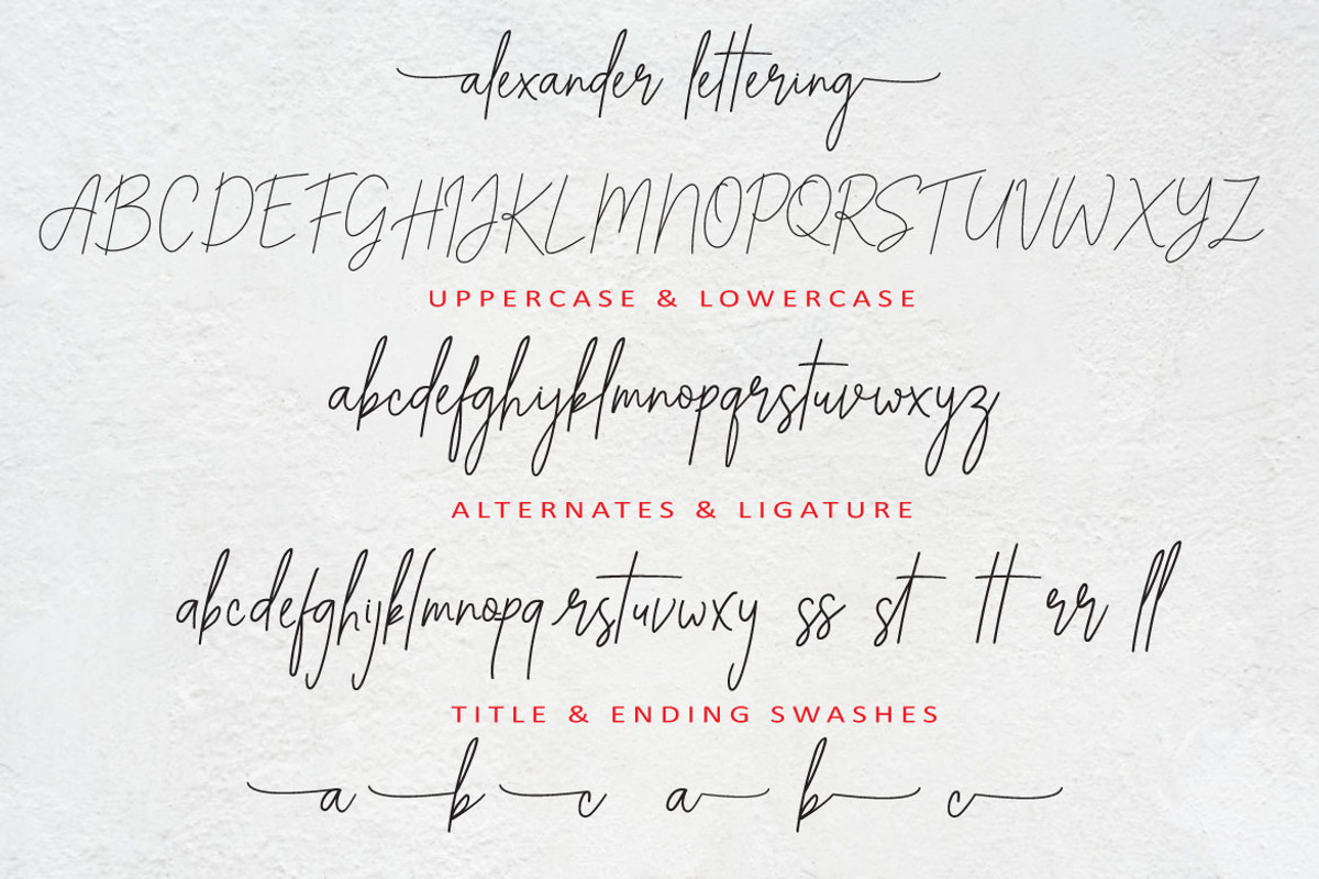 ALEXANDER LETTERING, a Script Font by AMINMARIO (Photo 9 of 10)