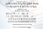 Skylight | Script Font, a Handwritten Font by Scratchones (Thumbnail 7 of 9)