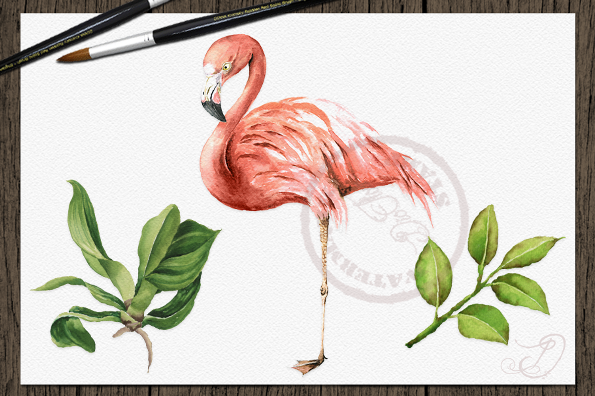 Tropical Big Pack Watercolor Clip, a Decorative Illustration by DioFlow (Photo 8 of 26)