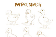Sketchbook Brush Set for Procreate, a Brush Add-On by Sometimes Crafter Studio (Thumbnail 9 of 17)