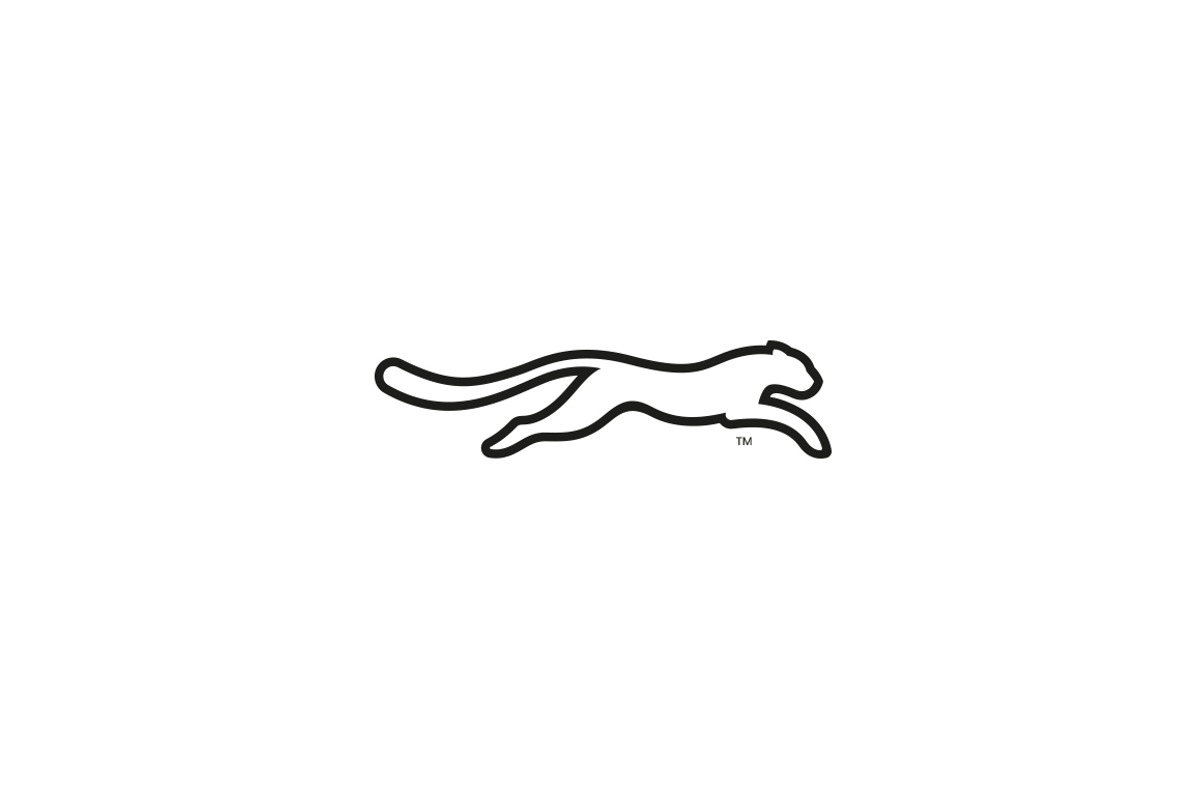Cheetah Speed Logo, a Branding & Logo Template by Flipside Design (Photo 1 of 2)