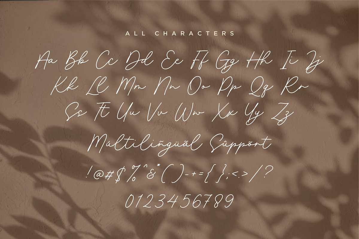Farmhomes A Monoline Script, a Script Font by Allouse Studio (Photo 9 of 10)