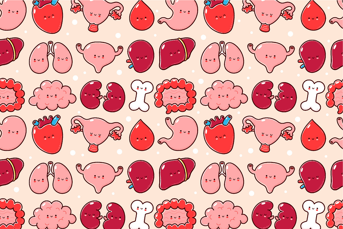 Cute human organs set, an Education Illustration by Slavko Kahovsky (Photo 2 of 3)