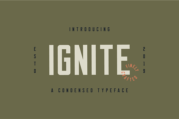 Ignite - Commercial License preview 7