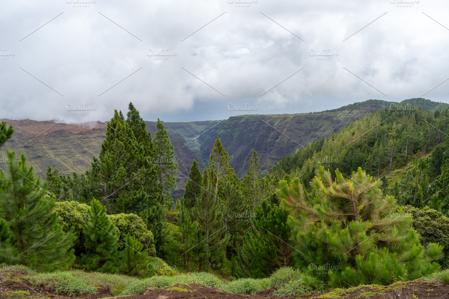 Verdant canyon landscape of Nuku Hiva in the Marquesas Islands,, a Nature Photo by GoodGoods