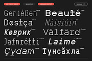 MIT Iculvist Monos | Variable, a Sans Serif Font by Maculinc Type (Thumbnail 9 of 12)