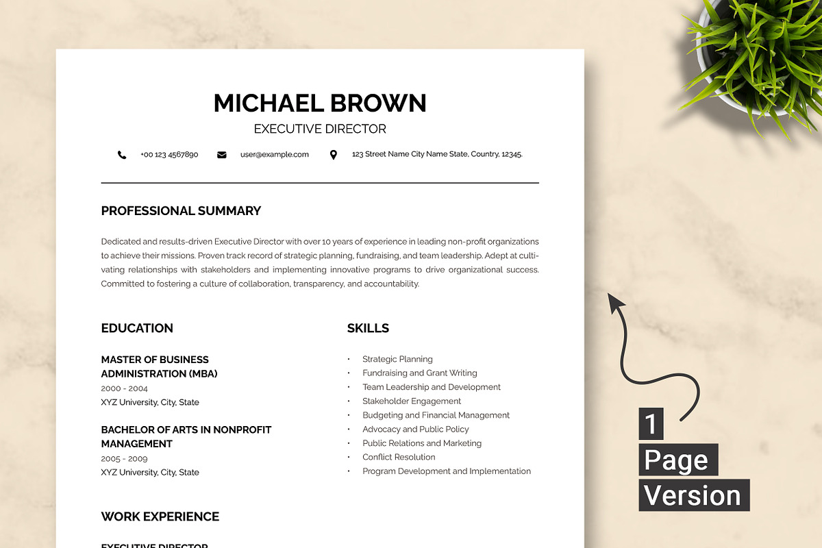 Executive Director Resume Template, a Resume Template by ResumeInventor (Photo 2 of 9)