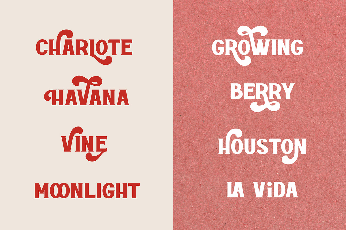ROTTELY - DISPLAY FONT, a Serif Font by din-studio.com (Photo 7 of 11)