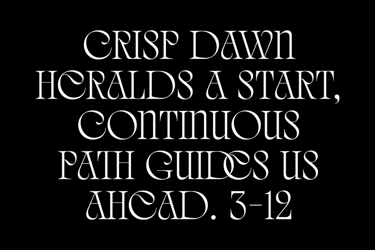 Quelia - Organic Display Font, a Serif Font by Piotr Łapa (Photo 4 of 12)