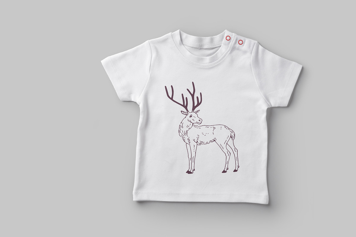 Deer sketch set, an Animal Illustration by Good Studio (Photo 3 of 5)