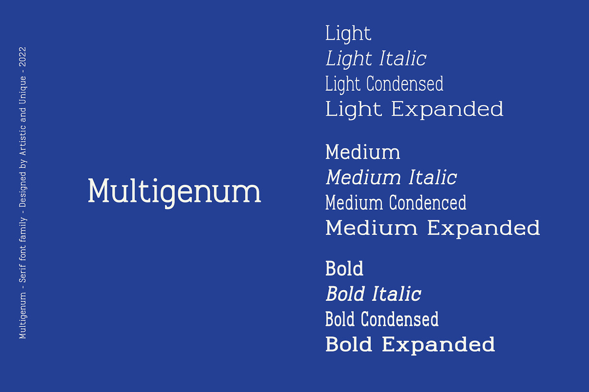 Multigenum - Serif font family, a Serif Font by Artistic & Unique (Photo 6 of 15)