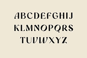 Romanost Modern Display Font, a Sans Serif Font by UICreative (Thumbnail 5 of 13)