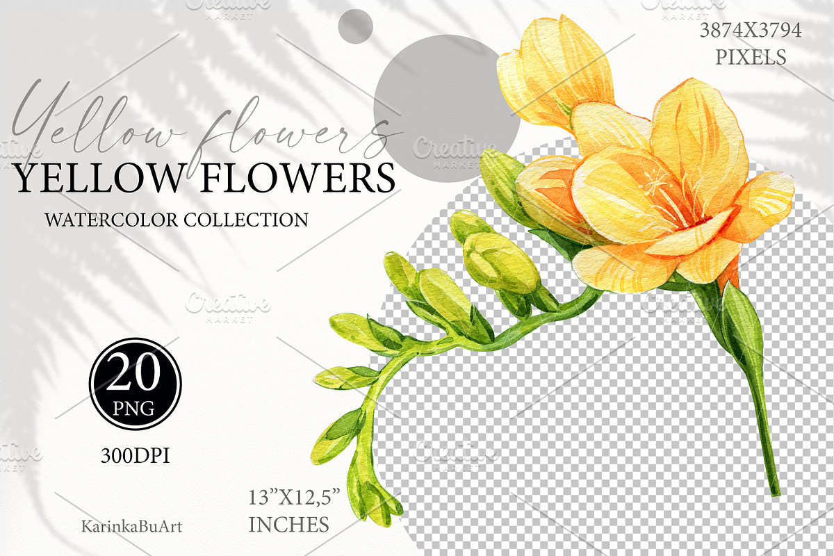 Watercolor Yellow flowers wildflower, an Object Graphic by KarinkaBU (Photo 7 of 7)