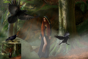 25 Ravens Photo Overlays