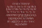 Franiva || Modern Elegant Serif Font, a Serif Font by Ermedia Studio (Thumbnail 10 of 10)