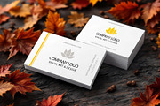 BUNDLE - 6PSD MOCKUPS, BUSINESS CARD, an Advertising Mockup by Mockup Stories (Thumbnail 3 of 7)