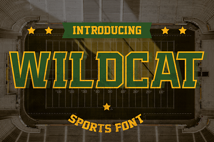 Wildcat - Varsity Sport Typeface, a Serif Font by HipFonts