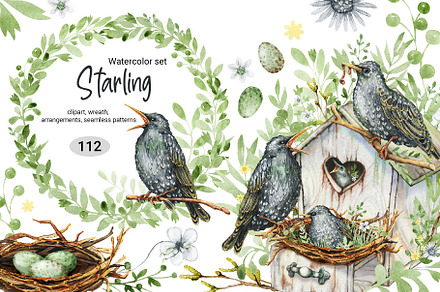 Starling family, spring bird, plants