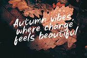 Autumn Brush Font, a Handwritten Font by Sronstudio (Thumbnail 9 of 12)