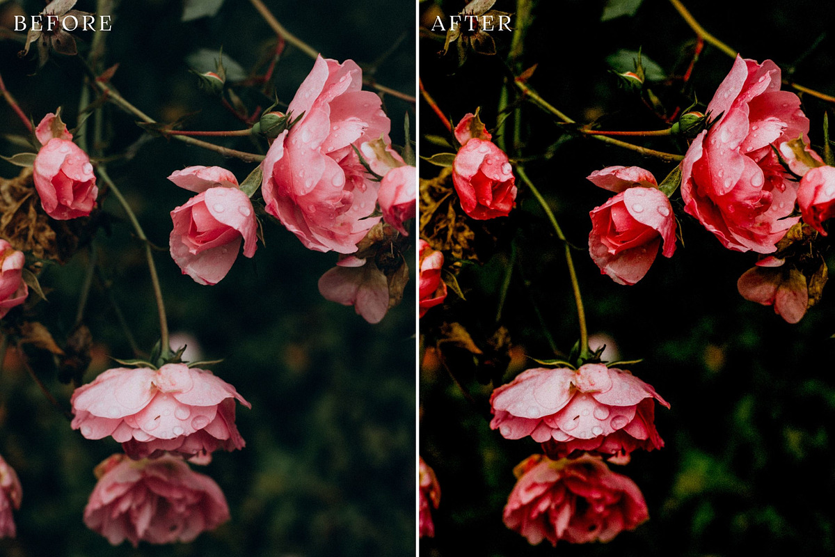 Floral Lightroom Presets, a Layer Style Add-On by Rapita Photography© (Photo 11 of 11)