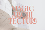 Lady Crush - Script & Display Serif, a Serif Font by Airotype (Thumbnail 6 of 12)