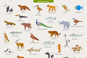 234 Animals Of The World