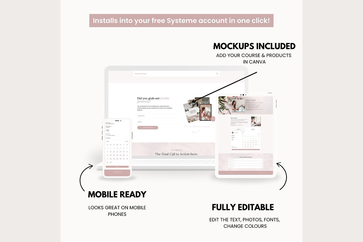 Systeme.io Blush Branding Paid Call, a Landing Page Template by Hayley's Digital Hub (Photo 4 of 10)