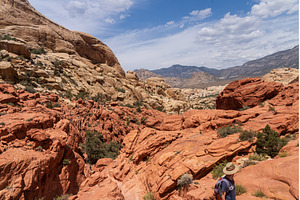 Sandstone formations on the Calico, a Nature Photo by Backyard Stock