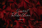 Nocturnus Handwritten Script Font, a Script Font by Up Up Creative (Thumbnail 6 of 15)