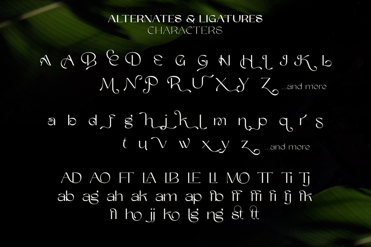 Brastag | Display Family Font, a Sans Serif Font by Ekahermawan (Photo 9 of 11)
