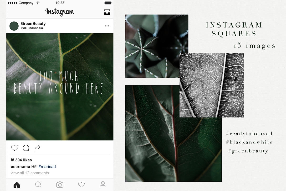 15 Green plant Insta photos, a Product Mockup by Nellaino (Photo 4 of 7)