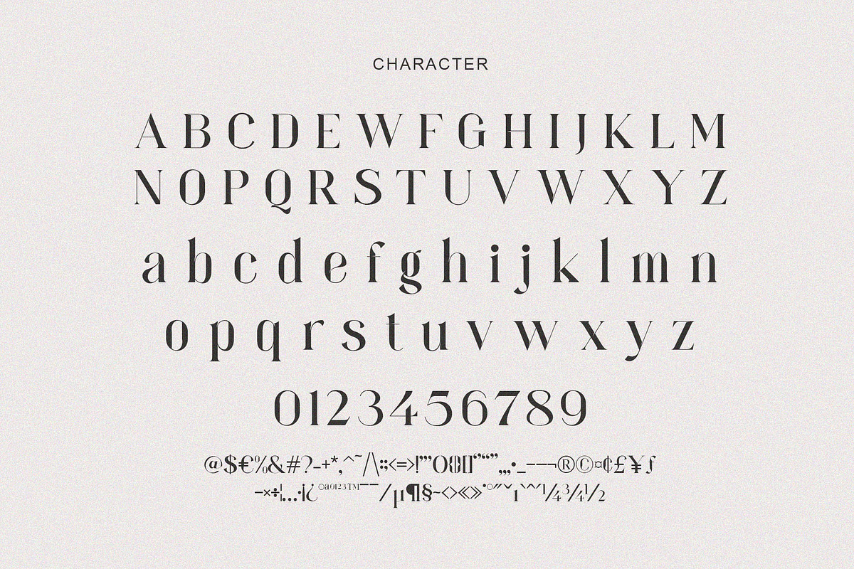 Forgue Modern Serif Typeface, a Serif Font by Dylla_studio (Photo 14 of 14)