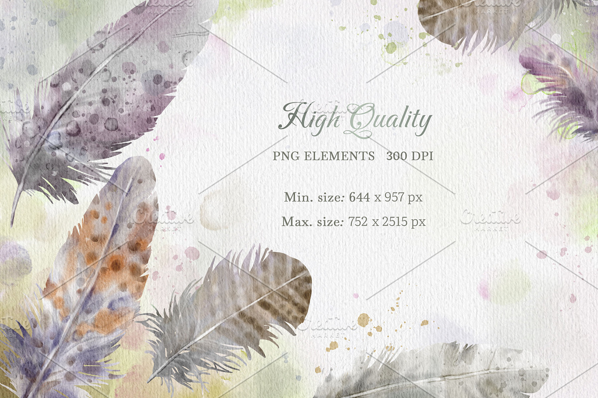 Watercolour Feathers Collection., a Decorative Illustration by VetaDesign (Photo 3 of 8)