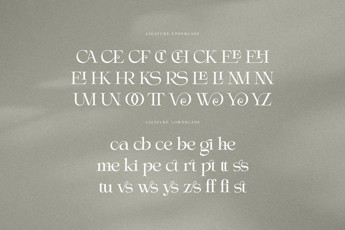 Wendy Bowsher Stylish Serif, a Serif Font by Cruzine (Photo 7 of 8)