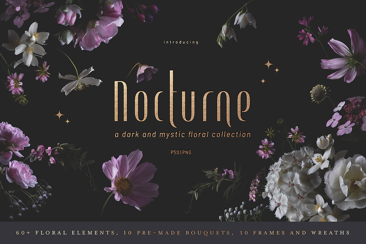 Nocturne - a dark floral collection, a Graphic by Anja Kaiser (Photo 1 of 13)