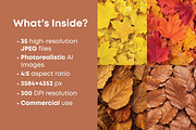 Fall Leaves Background Bundle, a Background Photo by Selenique Studio (Thumbnail 2 of 7)