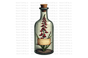 Apothecary Jars, a Decorative Illustration by Bloom Craft Creations (Thumbnail 1 of 12)