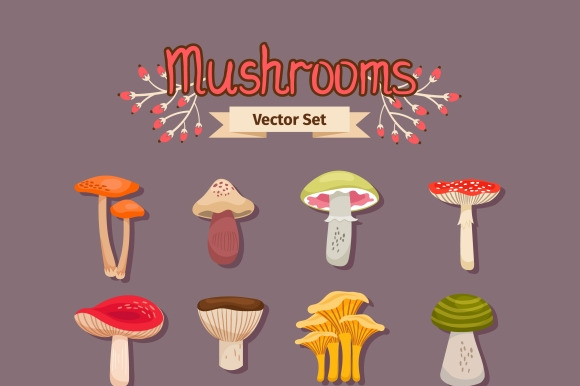 Vector Mushrooms Set