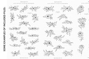Floral Line Art Bundle 700+, an Illustration by CaraulanStore (Thumbnail 7 of 7)