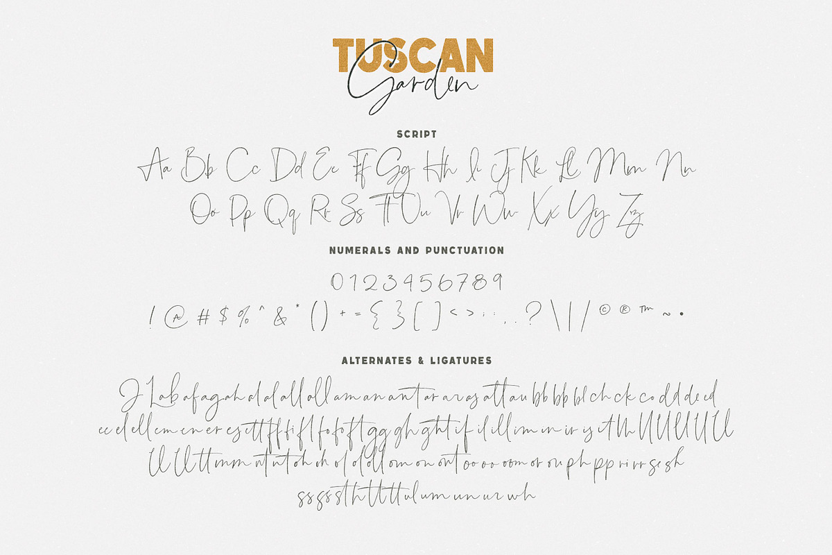Tuscan Garden Font Duo, a Handwritten Font by Callie Rian & Co. (Photo 14 of 16)