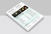 Technical Data Sheet Template, a Flyer Template by ArtisticLand (Thumbnail 3 of 5)