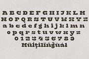 Nastilon – Slab Serif Font, a Slab Serif Font by NDNL Studio (Thumbnail 7 of 9)